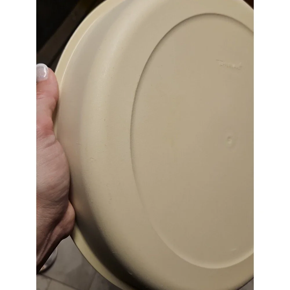 Tupperware Divided Serving Tray 1665-3 Almond With Lid & Dip Bowl 2 pc set